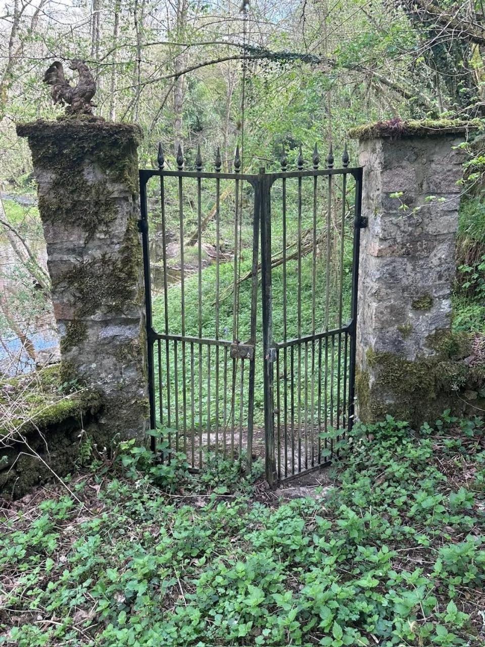 Chateau Mareuil Brigueuil-le-Chantre Εξωτερικό φωτογραφία